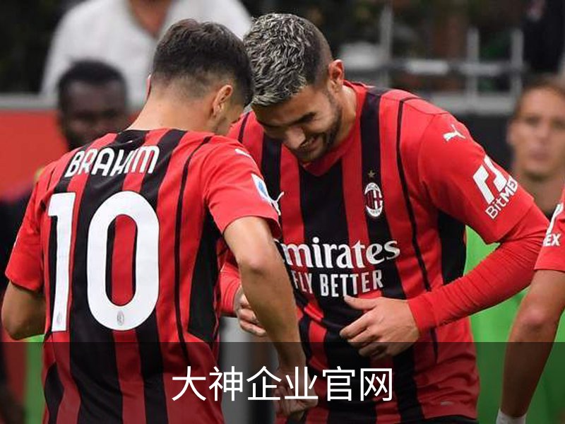 大神企业官网概况